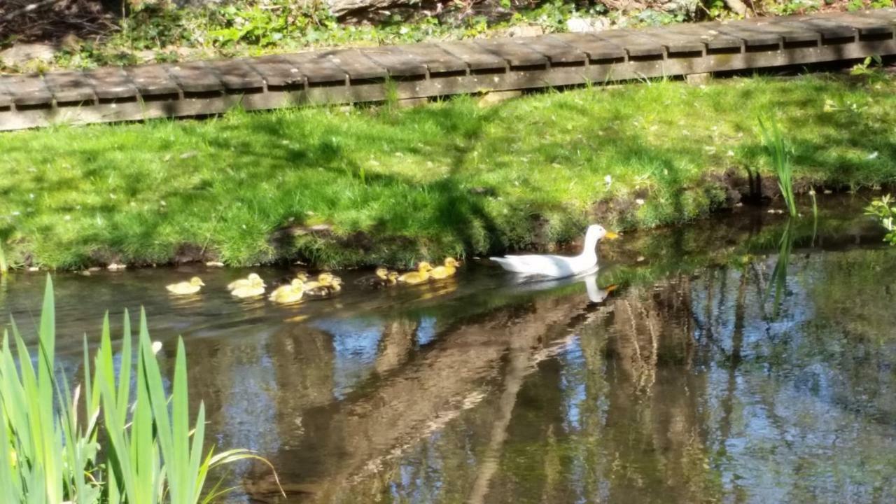 Weir Cottage Fordingbridge Esterno foto